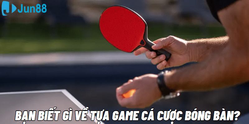 Bạn biết gì về tựa game cá cược bóng bàn?